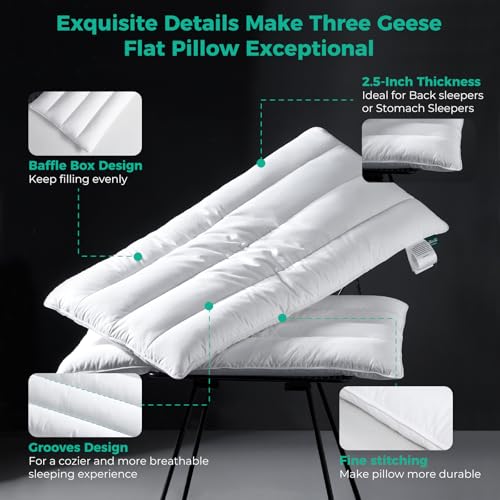 Solid White Goose Feather Pillow 2.5 Inch Thin Support Bed Pillow - 1 Pack