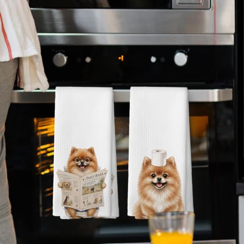 Pomeranian Bathroom Hand Towels Set of 2 - 16x24 Inches, Color 64