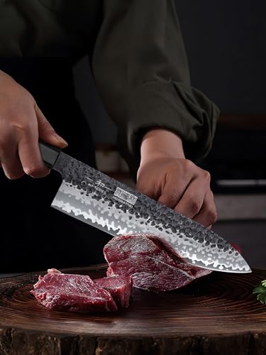 HOSHANHO 8-Inch Knife Set with Magnetic Wooden Block - Japanese Kitchen Cutlery