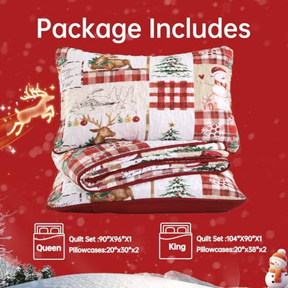 Christmas Quilt Set Queen Size 3-Piece Bedspread Bedding with Reindeer Snowman Pattern - Red & Green