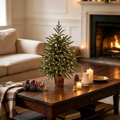 Green 2ft Prelit Artificial Norfolk Pine Christmas Tree - Indoor Decor