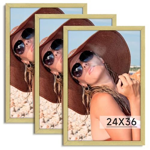 Gold 24x36 Frame Set of 3 - Vintage Poster Wall Gallery Display, Plexiglass