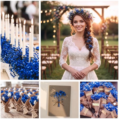 Mini Dried Baby's Breath Flowers - Royal Blue, 100 Pcs for Wedding Decor & Crafts