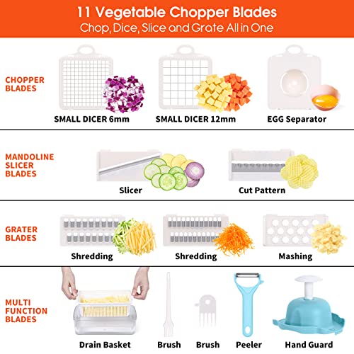 Vegetable Chopper, Pro Onion Chopper, 14 in 1Multifunctional Food Chopper, Kitchen Vegetable Slicer Dicer Cutter,Veggie Chopper With 8 Blades,Carrot and Garlic Chopper With Container(blue)