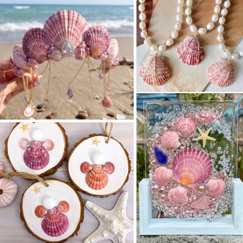 Natural Seashells for Crafts - Red Scallop Shells 1.5-2.4 Inches, 50 Pack