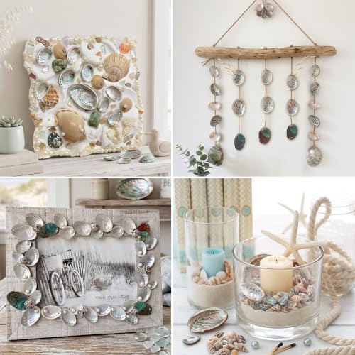 Natural Abalone Shells Set - 60 Small Iridescent Sea Shells for Crafts & Decor