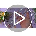 Stylish 12 Pack Acrylic Bud Vases - Clear Small Flower Vase 2.17 x 6.54 Inch for Centerpiece & Home Decor