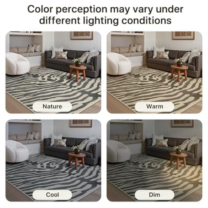 Indoor Zebra Rug 2x3 Small Entryway Door Mat - Grey & Beige Washable