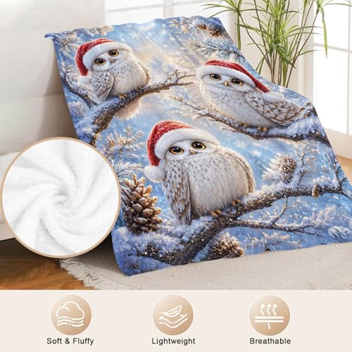 Christmas Owl Throw Blanket - Cute Owls Gift for Boys and Girls 50x40 Inches