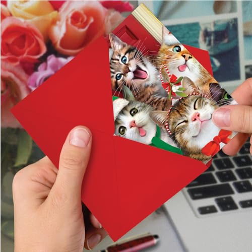 Funny Christmas Greeting Cards - Merry Christmas to Zoo Set of 12