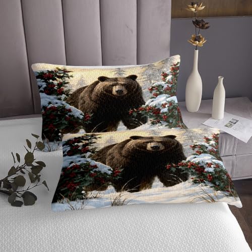 Feelyou Bear Bedspread Set King Size Cranberry & Glacier 3 Pieces