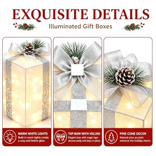 Warm White Lighted Gift Boxes Set of 4 Christmas Decor Battery Operated