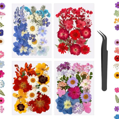 76 Pcs Natural Dried Flowers for Resin Crafts, Pressed Flower Decorations