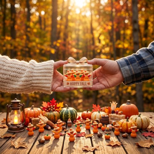 Beeveer 25 Pcs Fall Pumpkin Scarecrow Mini Figurines - Thanksgiving Decor