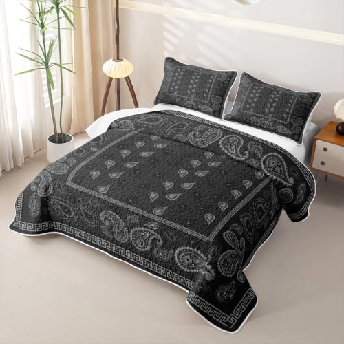 Manfei Black King Size Bohemian Paisley Quilt Set with Pillow Shams - Bedspread Coverlet