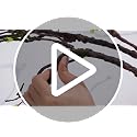 Halloween Artificial Tree Branches Set - 118 Inch Haunted Forest Decor with Spiders Bats and Webs