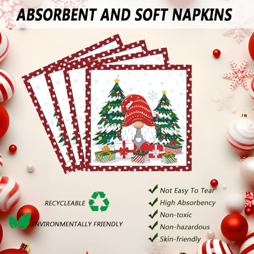 Christmas Gnomes Plates and Napkins Set with Santa & Tree - Holiday Party Supplies