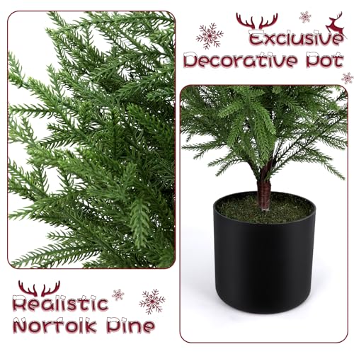 2-Pack 4FT Prelit Norfolk Pine Christmas Trees with LED Lights - Real Touch Artificial Cedar for Indoor Outdoor Decor