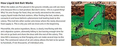 Terro Ant Bait Stations - Effective Liquid Formula for Quick Pest Control | 8 Pack