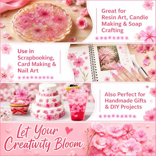 Edible Dried Flower Garnishes for Cakes Drinks & Crafts - 60 Pcs
