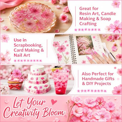 Edible Dried Flower Garnishes for Cakes Drinks & Crafts - 60 Pcs