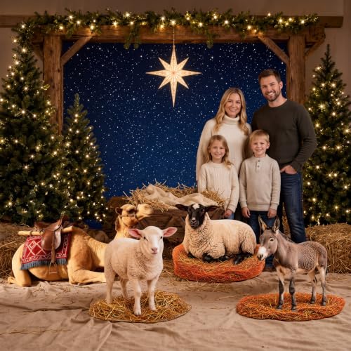 Christmas Nativity Cardboard Cutouts Set - Stable Scene Decor for Church & Holiday Events