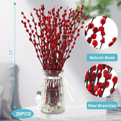 Natural Dried PussyWillow Branches for Rustic Wedding Decor Fireplace Mantel Centerpiece