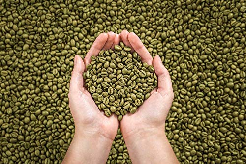 BROOKLYN COFFEE Green Unroasted Whole Bean - Brazilian Santos (3LB)