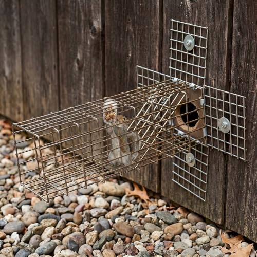 One Way Squirrel Door Excluder - Humane Squirrel Barrier - 1 Pc