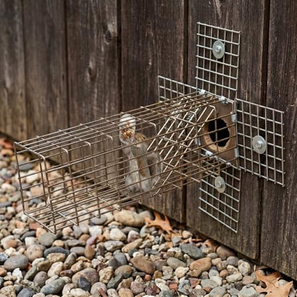 One Way Squirrel Door Excluder - Humane Squirrel Barrier - 1 Pc