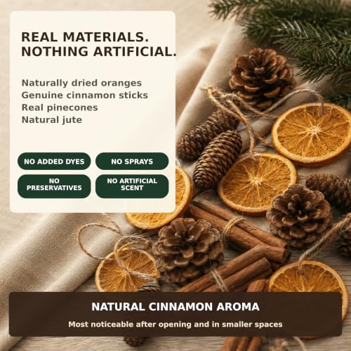 Natural Christmas Decorations Set with Dried Orange, Cinnamon, Pinecones