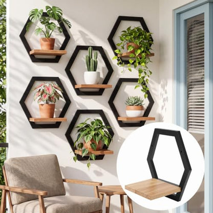 Novabright Black Solid Wood Wall Plant Holder Shelves Set of 6 Indoor Garden Decor