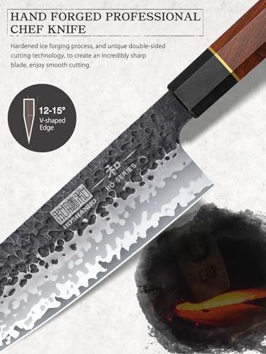 HOSHANHO 8-Inch Knife Set with Magnetic Wooden Block - Japanese Kitchen Cutlery