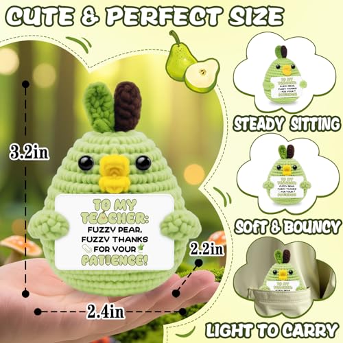 Teacher Appreciation Gifts Crochet Duck Pear Decor - Teacher Variation