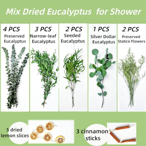 Preserved Eucalyptus & Statice Flower Bundle for Home Decor & Aromatherapy