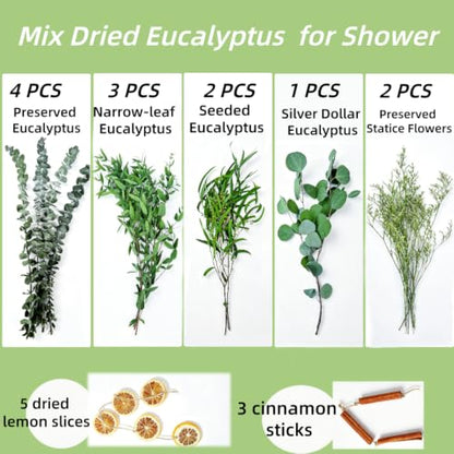 Preserved Eucalyptus & Statice Flower Bundle for Home Decor & Aromatherapy