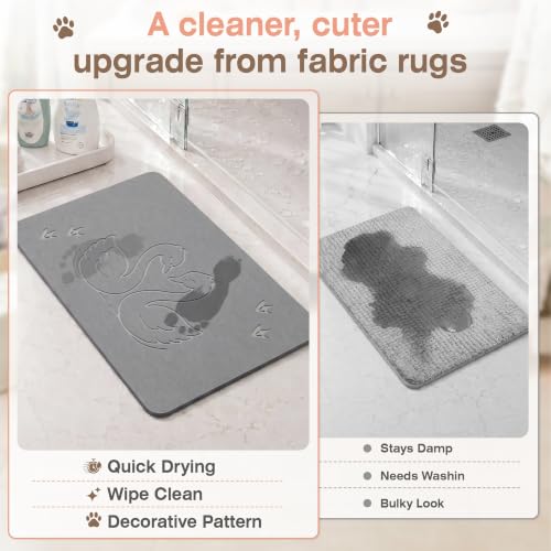 Diatomaceous Earth Bath Mat with Swan Pattern - Quick Dry, Non-Slip Bathroom Rug