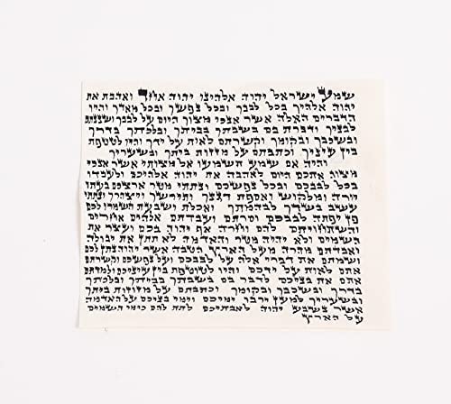 Kosher Mezuzah Scroll From Israel - Klaf Mezuza Parchment by ProShofar (5")