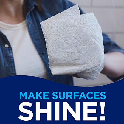 Sparkle, Paper Towels, 6 Count (Pack of 1)