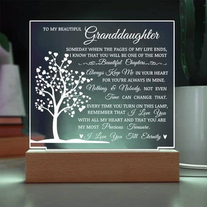 Granddaughter Gift Acrylic Plaque with Decorative LED Light - Heartwarming Keepsake
