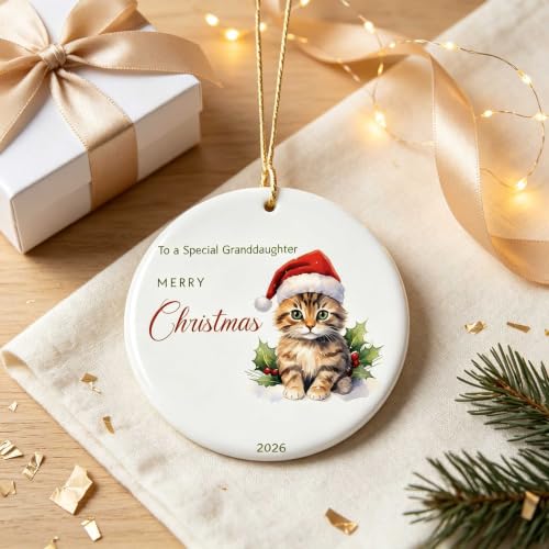Granddaughter Christmas Ornament V16 - Cute Kitten Santa Holiday Keepsake