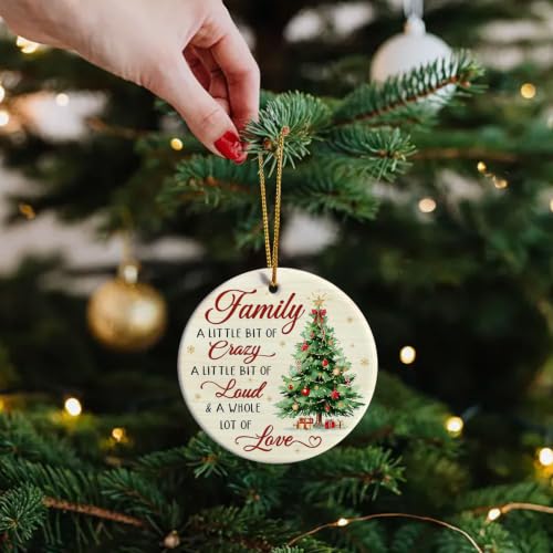 Family Ornament, Family Christmas Ornament 2026 - Variation 01