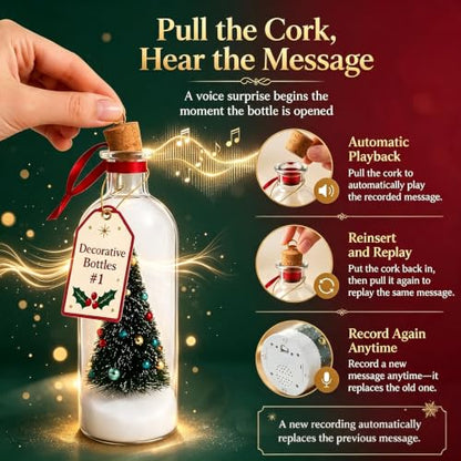 Christmas Snow Globe with Voice Recording and Festive Scene