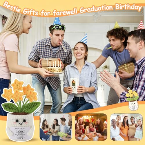 Bestie Crochet Star Flower Pot - Friendship Gift for Women