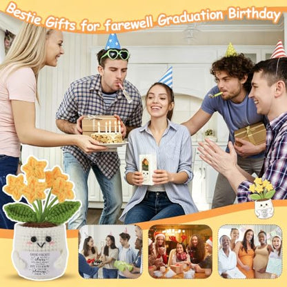 Bestie Crochet Star Flower Pot - Friendship Gift for Women