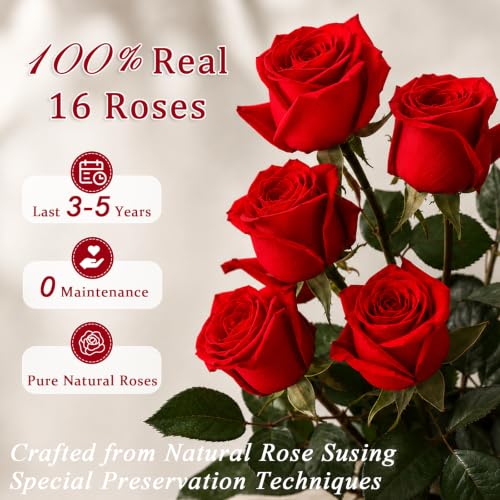 Long-Lasting Preserved Roses Gift Box - Heart-Red 16 Roses for Mom's Birthday