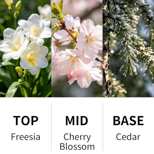 Cherry Blossom Reed Diffuser Set Volcano Design Home Fragrance - 3.28 fl.oz