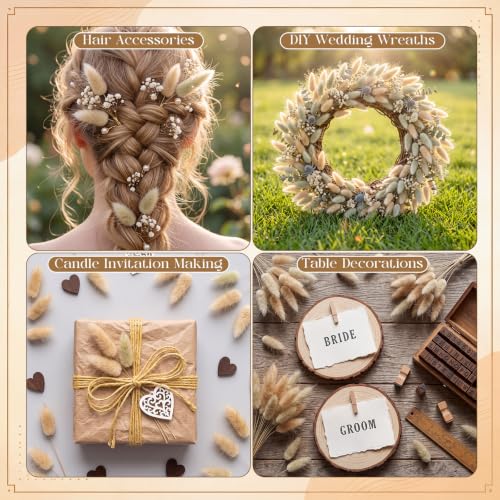 Natural Bunny Tails Dried Flowers Bulk 4 Inch for Boho Decor & Crafts