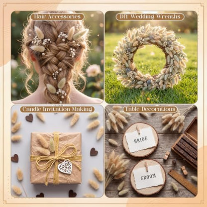 Natural Bunny Tails Dried Flowers Bulk 4 Inch for Boho Decor & Crafts