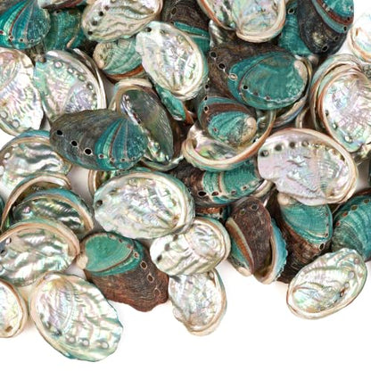 Natural Abalone Shells Set - 60 Small Iridescent Sea Shells for Crafts & Decor